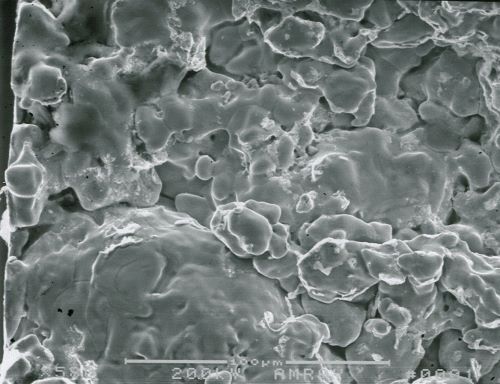 Powder metal fracture SEM micrograph